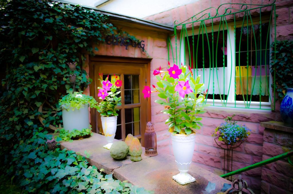 Haus Helvetia Bed & Breakfast Bad Orb Luaran gambar